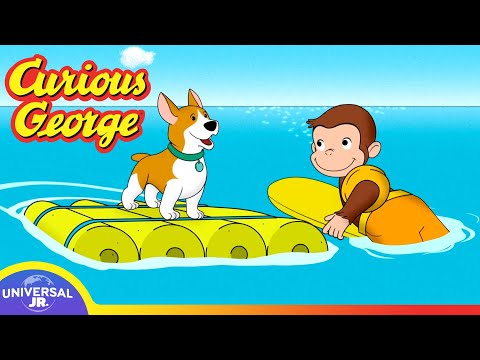 Day at the Dog Beach | CURIOUS GEORGE