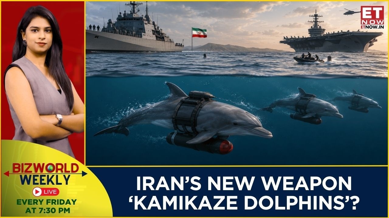 Bomber Dolphins? Does Iran Have 'Kamikaze Dolphins'? Viral Claim Busted By Pentagon
