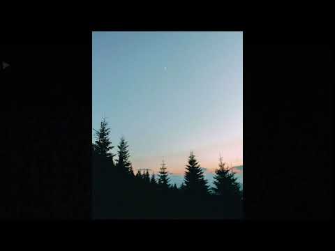 [FREE] midwest emo x guardin type beat | "capsule"