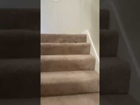 The Cooper - Video 2 of 2