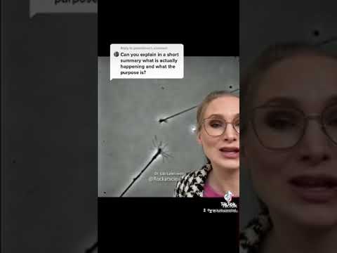 “Finding that connection” neurons in a Petri dish - an explainer!