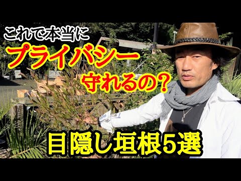 購入アドバイス: 庭に最適なスペードを見つける方法 庭の練習