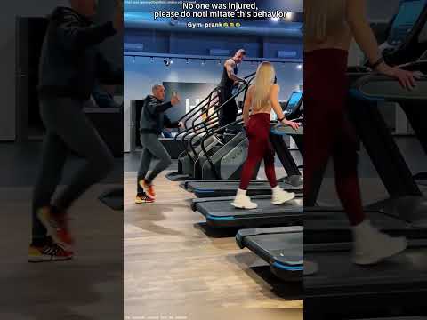 #funny #pet #cat #dog #fun #funnyanimals