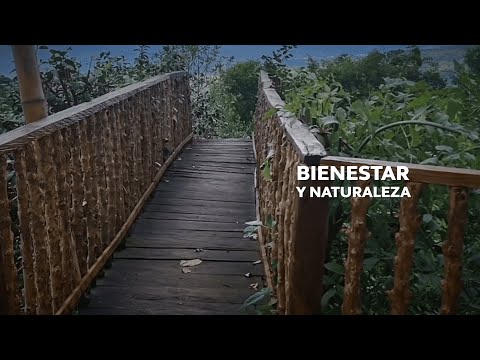 Destino Bambú: turismo de bienestar y naturaleza en Arbeláez | Enlace Trece