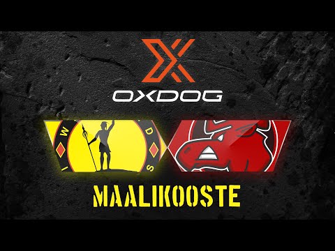 Maalikooste: Westend Indians - Happee 29.2.2020