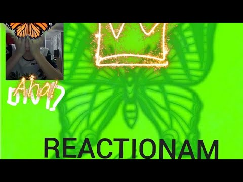 REACTIONAM LA (FLUTURE NANE.feat.EL NINO)+(greseli in piesa)