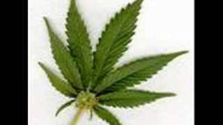 Shaniqua Music Video