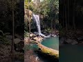 6 Must day Trip from Brisbane #brisbane #brisbanecity #californiatravel #brisbanecbd #traveldestina