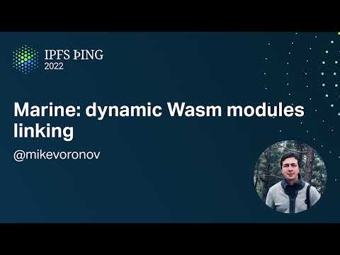 Marine: dynamic Wasm modules linking - @mikevoronov - IPFS and WASM