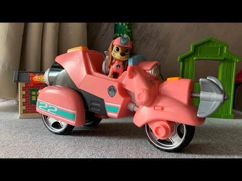 Paw patrol toys: skye and liberty feature vehicle