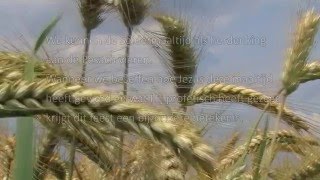 Paasviering volgens de Bijbel (Pesach en  seiderviering)