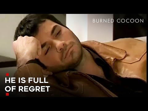 Akin is Having a Mental Breakdown | Burned Cocoon Episode 36 | English Subtitle