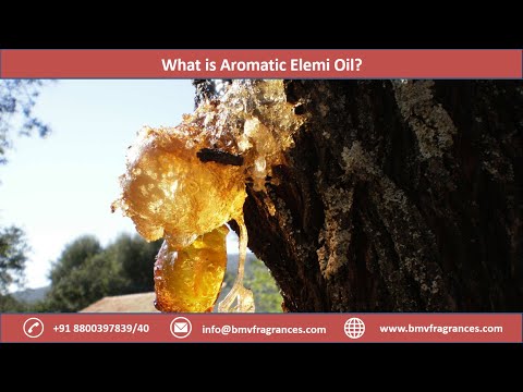 What is Aromatic Elemi Oil?