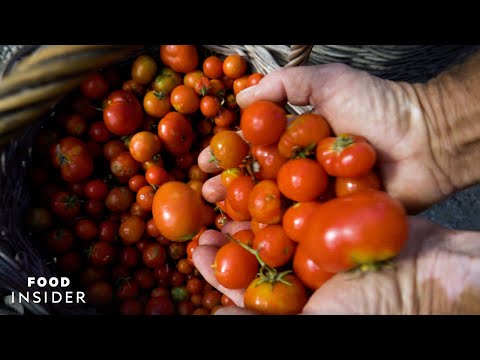 這個人正在拯救聖托里尼的傳統番茄。 (This Man Is Saving Santorini's Heritage Tomatoes)