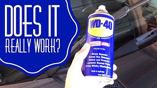 WD40 Hack on Wiper Blades!  Does it really work