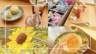 普通のワーママの日常🌻野菜たっぷり朝食、ブッダナッツ作り、ラベンダーソフトクリーム🪻の食べられるカフェ