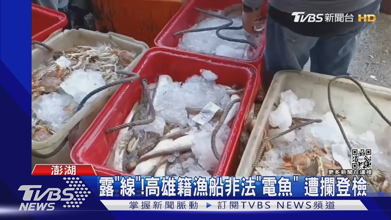 露「線」！　高雄籍漁船非法「電魚」遭攔登檢