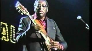 Albert King I&#39;ll Play The Blues For You Japan Blues Carnival 89 .flv