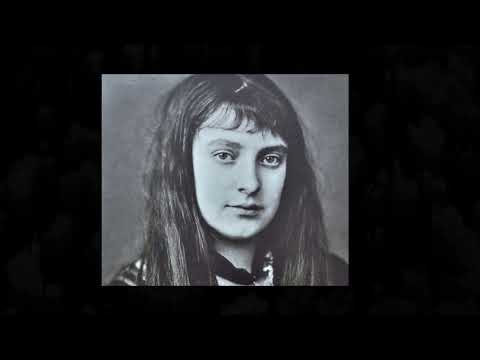 On This Day - Margam Park and Photography