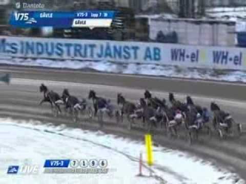 Gävle Stora Pris 2014 -Amaru Boko