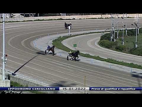 Aversa trotto 15 Gennaio 2022 - Prova di qualifica