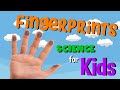 Fingerprints Science For Kids
