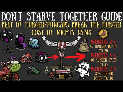 The Belt Of Hunger Breaks Reworked Wolfgang, Mighty Gyms & More - Don't Starve Together Guide