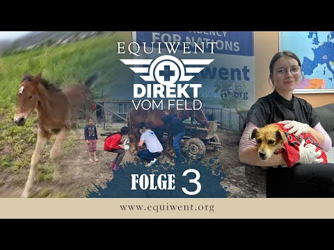 Equiwent - Straight from the Field #3 - The last 2 weeks
