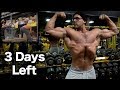 CLASSIC BODYBUILDING | I CAN'T COUNT CALORIES | Nick's S&P Prep | Ep. 14