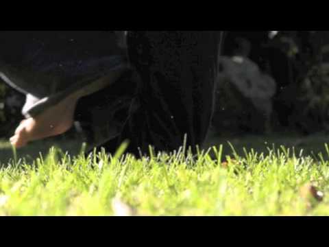 Modena City Ramblers - Con i piedi per terra