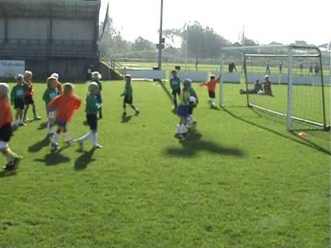 Minipuppies SV Zandvoort