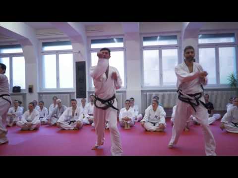 Kampfkunst Taekwon-Do in Zürich und Freiburg