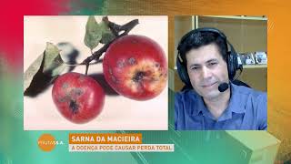 Miniatura do vídeo