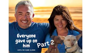 Colleen Steckloff and Cesar Millan work with Maury part 2 of 2