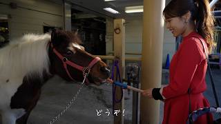 Challenge 669　ポニーにおやつをあげよう！