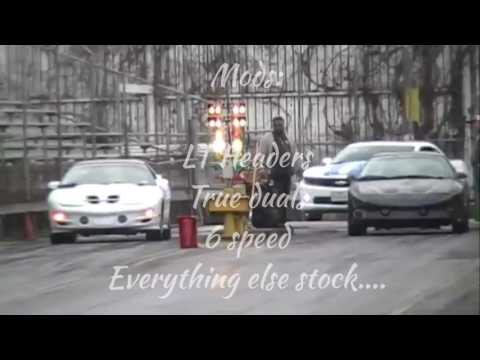 1995 LT1 Trans am vs the world