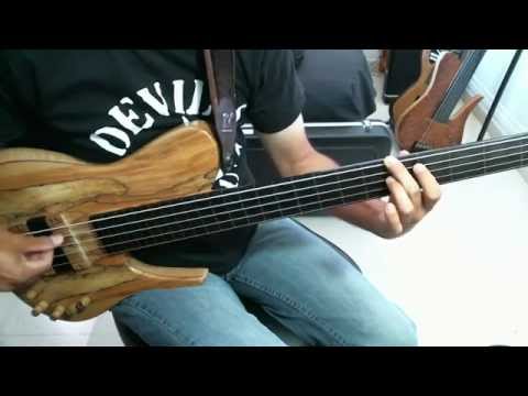 FRETLESS BASS SOLO-A NEVER ENDING WINTER- ( on JCR custom Bass) by Jesús Rico
