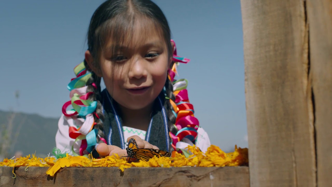 "Day of the Dead" (Ep.1)