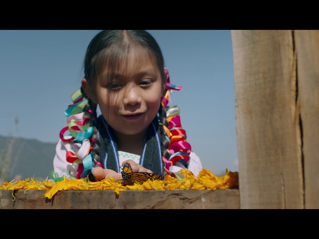 "Day of the Dead" (Ep.1)