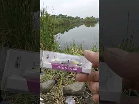 Bfs fishing#Blux#Jack Claw 70f#Mini Glide bait#It works!