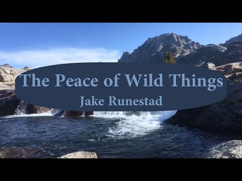 Peace of Wild Things   Jake Runestad