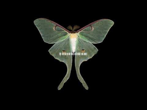 Burial & Four Tet - Moth