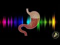 Stomach Gurgle Rumbling Sound Effect Original