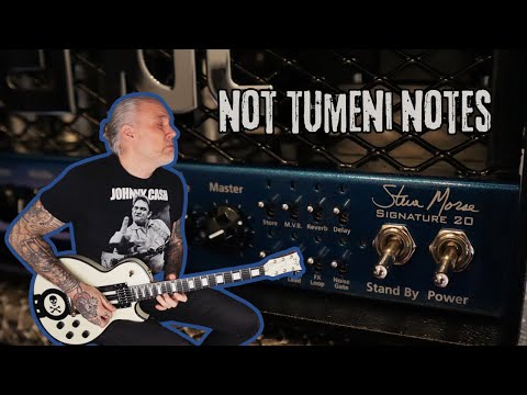 ENGL Steve Morse Signature 20 | TUBE AMP