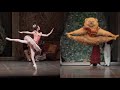 The Nutcracker Toys Dances Boston Ballet ABT Baryshnikov Berlin Staatsballet