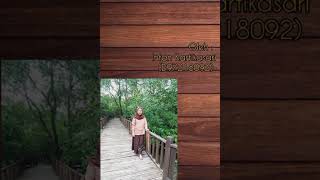 Download lagu Praktek Membina Pramuka Siaga Materi Salam Pramuka mp3