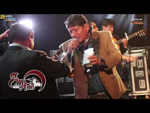 Eloy de los Andes - Mix exitos de Oro (Festival del Requinto)