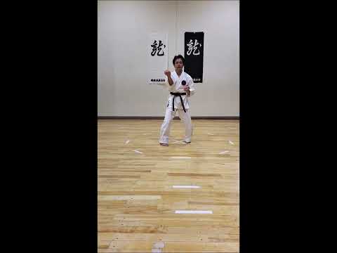 サンセール  スロー Sanseru slow90sec.Gojuryu Yuzenkai  https://www.japan-karate.com/