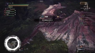MHWopβ版  確実に面白い件！　武器きわめよか！　［ろぼっちです］#1