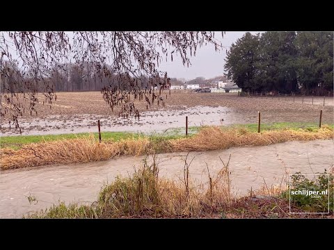 Rothem Geulke - January 29, 2021 15:39